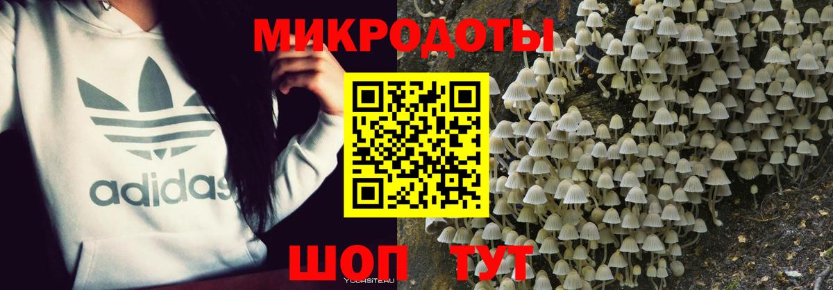 Скопин  Псилоцибиновые грибы Magic Shrooms  Вход с VPN 